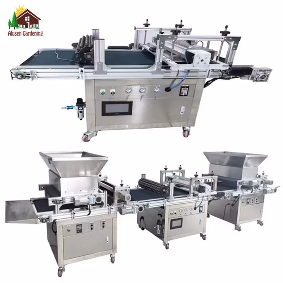 Plateaux de semis pour plateau de semis de pépinière utilisé agricole pour tomate/concombre/légume