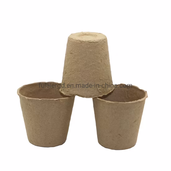 Les semis de plantes cultivent des tasses de pépinière de pots de pâte à papier biodégradables